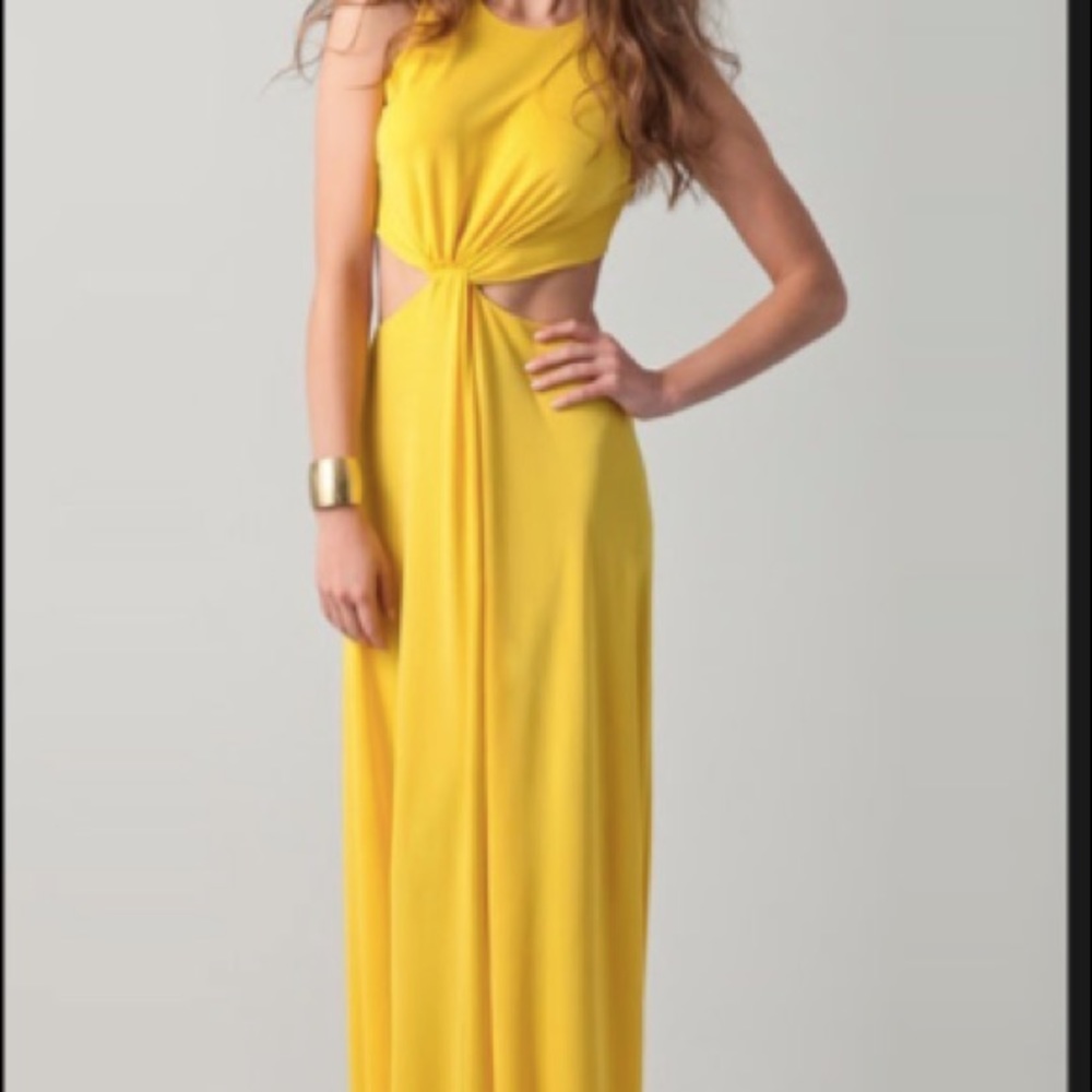 BCBG Olesya Gown